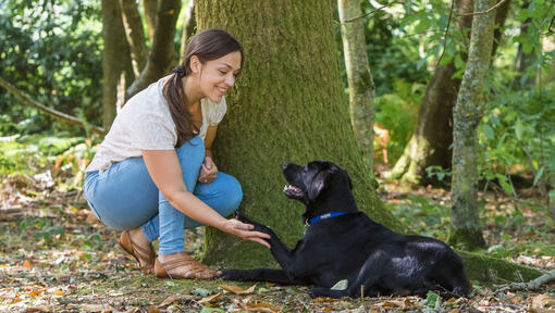 Γυναίκα έσκυψε με σκύλο κοντά σε ένα δέντρο