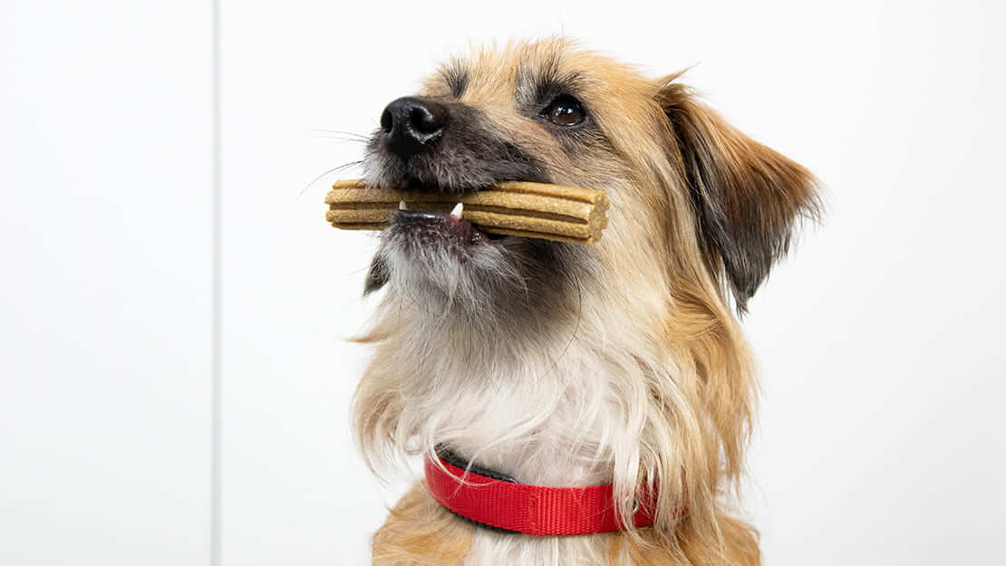 Σελίδα καταχώρισης οδοντιατρικών σνακς για σκύλους