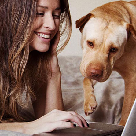 γυναίκα και σκύλος κοιτάζοντας τον υπολογιστή