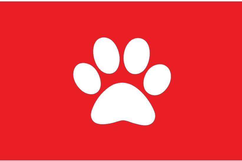 paw print icon