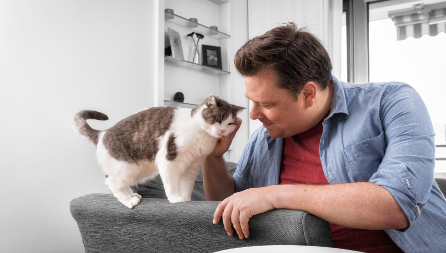 Άντρας χαϊδεύει το πρόσωπο της γάτας του ενώ αυτή στέκεται στο μπράτσο ενός καναπέ