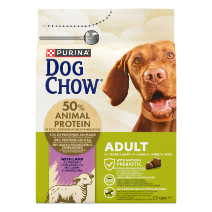 CHOW  ADULT Dog Αρνί