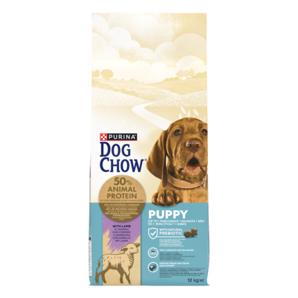 CHOW  PUPPY Αρνί