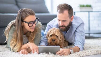 dog looking at ipad