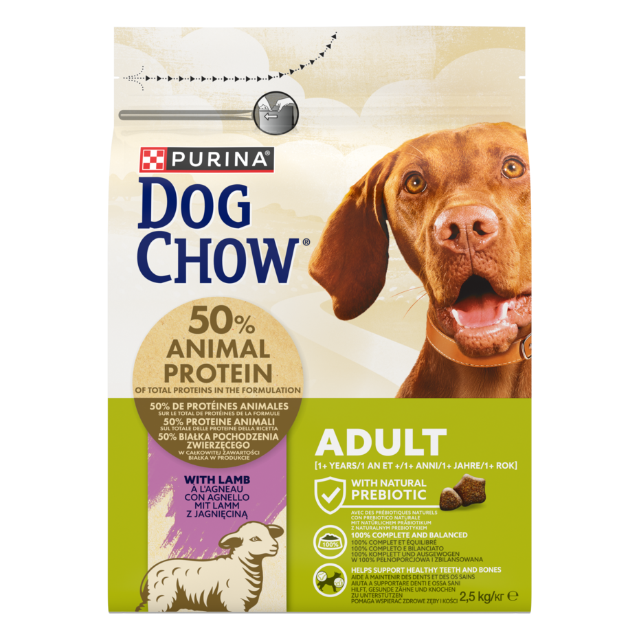 CHOW  ADULT Dog Αρνί
