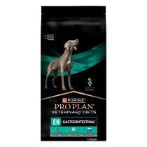 PPVD CANINE EN Dog