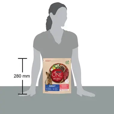 PURINA ONE® MINI/ SMALL Dog Μοσχάρι