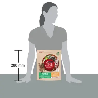 PURINA ONE® Dog MINI/SMALL Κοτόπουλο
