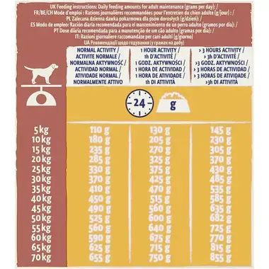 CHOW® ACTIVE Dog Κοτόπουλο