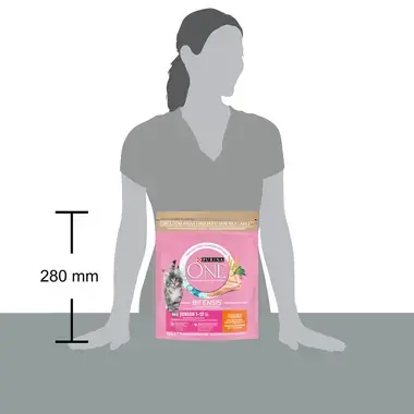 PURINA ONE® JUNIOR Κοτόπουλο & Δημητριακά Ολικής Άλεσης