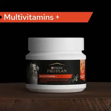 PRO PLAN® Multivitamins+ Συμπλήρωμα Διατροφής για Σκύλους σε Δισκία