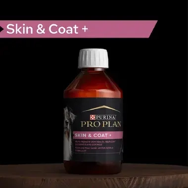 PRO PLAN® Skin and Coat+ Συμπλήρωμα Διατροφής για Σκύλους σε μορφή Λαδιού