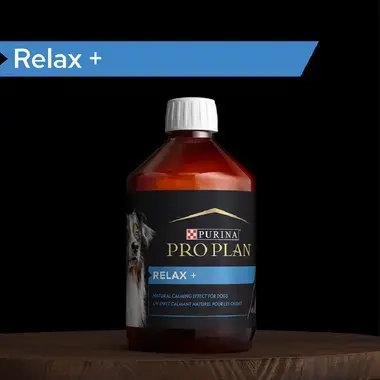 PRO PLAN® Relax+ Συμπλήρωμα Διατροφής για Σκύλους σε μορφή Λαδιού