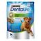 DENTALIFE® Large