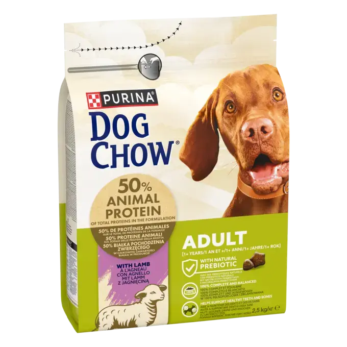 CHOW  ADULT Dog Αρνί