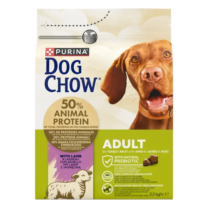 CHOW  ADULT Dog Αρνί