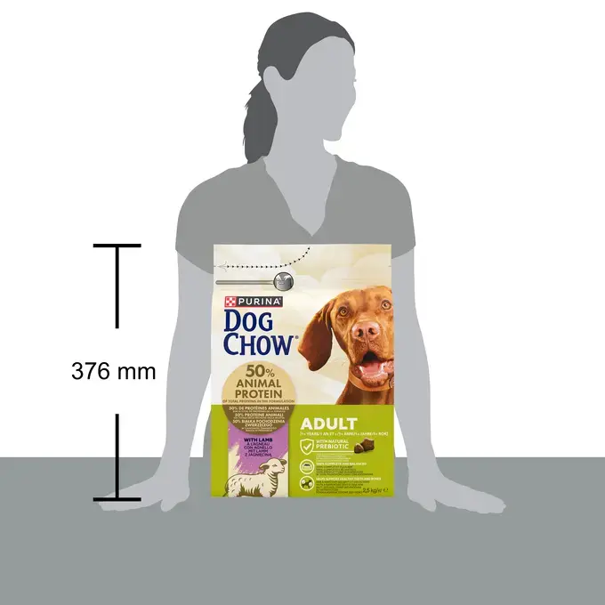CHOW  ADULT Dog Αρνί
