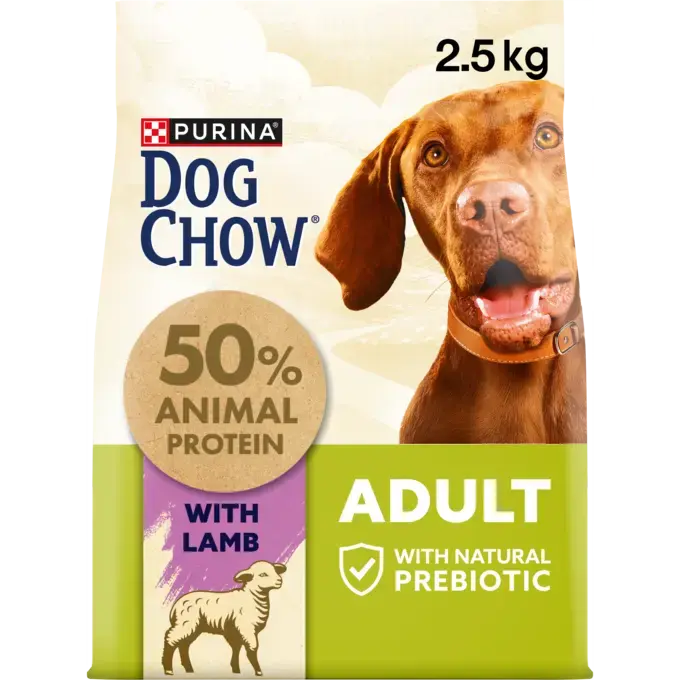 CHOW  ADULT Dog Αρνί