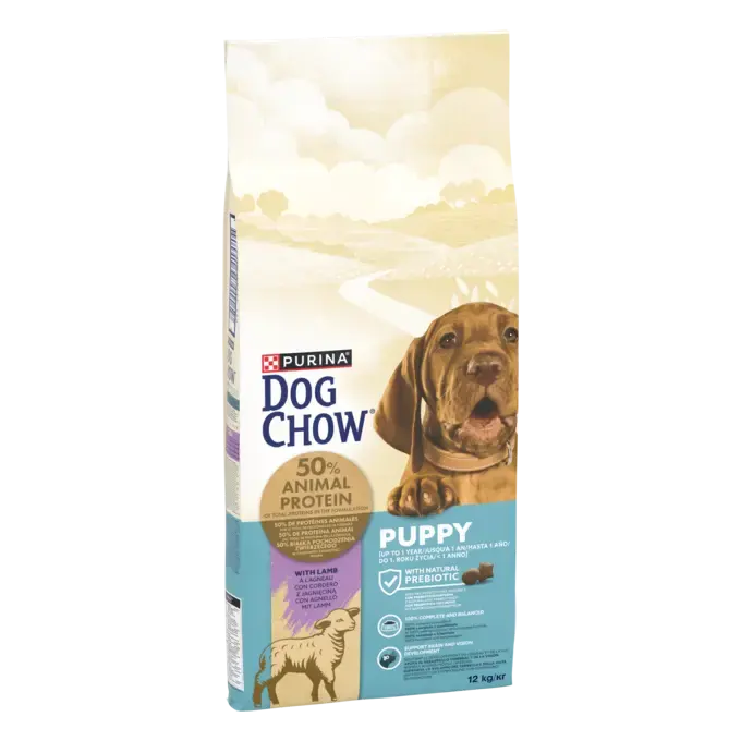 CHOW  PUPPY Αρνί