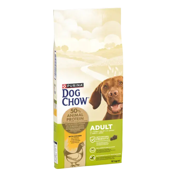 CHOW ADULT Dog Κοτόπουλο
