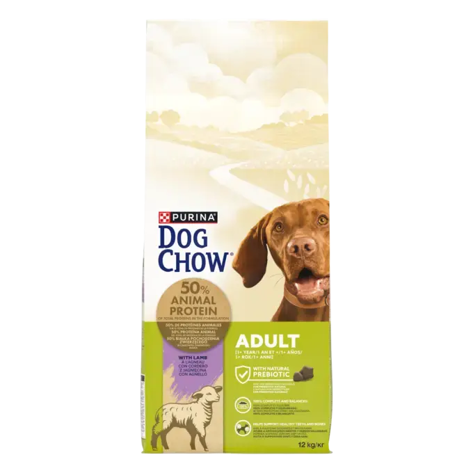 CHOW  ADULT Dog Αρνί
