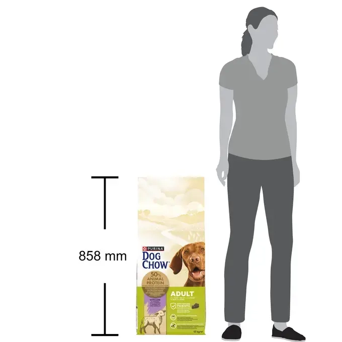 CHOW  ADULT Dog Αρνί