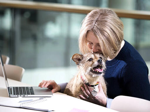 Γυναίκα και σκύλος στο φορητό υπολογιστή