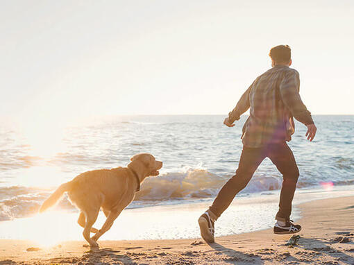 Άνδρας και σκύλος που τρέχουν στην παραλία