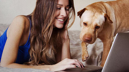 Γυναίκα και σκύλος στο φορητό υπολογιστή