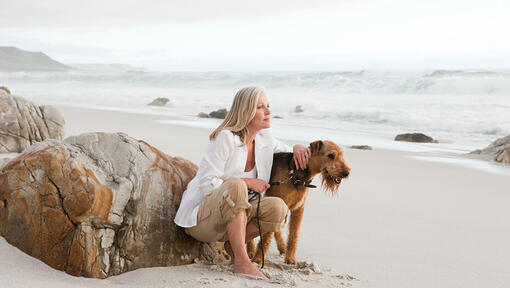 Airedale Terrier στην παραλία με άτομο.