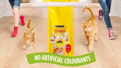 Friskies