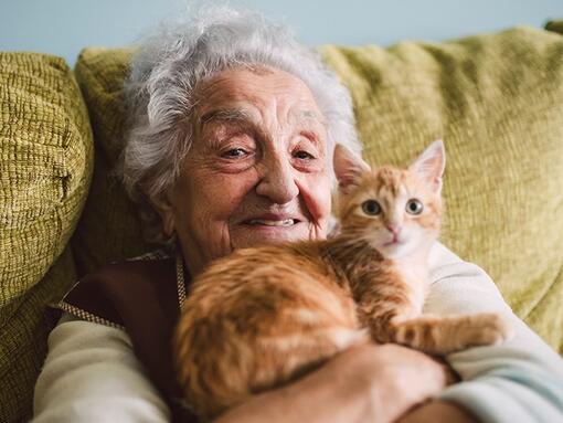 Ηλικιωμένη γυναίκα με μια γάτα