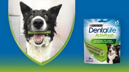 DENTALIFE™ ACTIVFRESH™