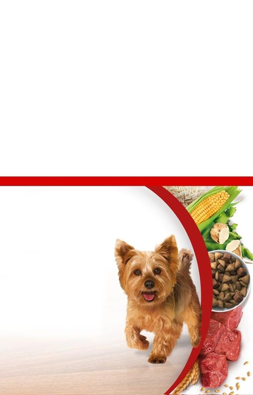 Purina One