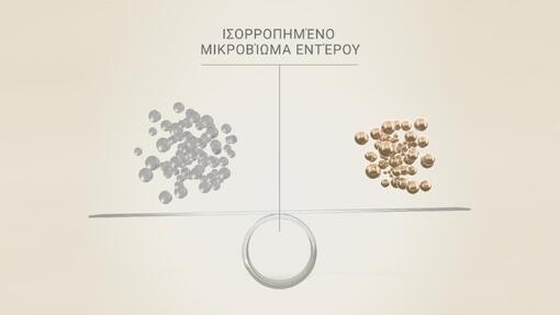 Όταν το μικροβίωμα του εντέρου του είναι ισορροπημένο, το ίδιο ισχύει και για τη συνολική του υγεία