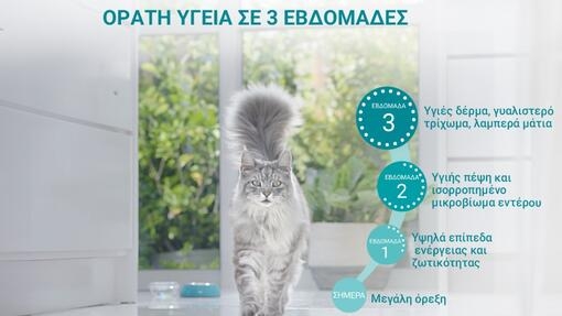 Ξεκινήστε σήμερα και δείτε τη διαφορά από την ΕΒΔΟΜΑΔΑ1