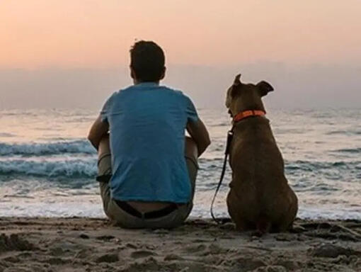 Άντρας και ο σκύλος του κάθονται στη παραλία