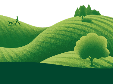 Αναγεννητική γεωργία: συνεργασία με τη φύση