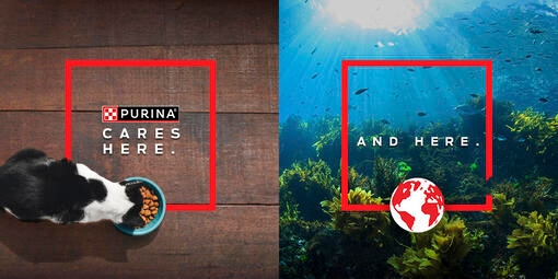 ΠΡΟΓΡΑΜΜΑ ΑΠΟΚΑΤΑΣΤΑΣΗΣ ΩΚΕΑΝΩΝ ΤΗΣ PURINA EUROPE