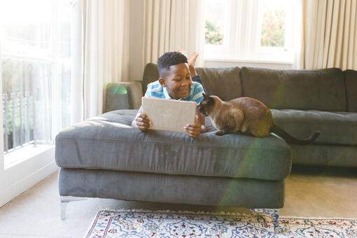boy and cat looking at ipad