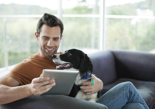 man and dog looking at ipad