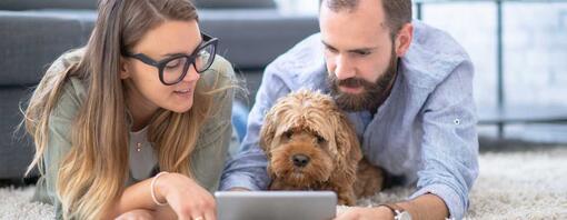 dog looking at ipad