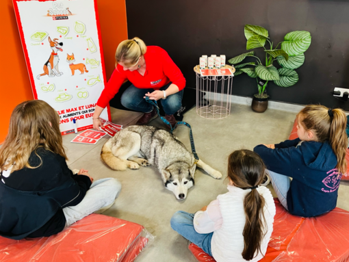 PECCRAM Pet School Workshops στα Καταστήματα