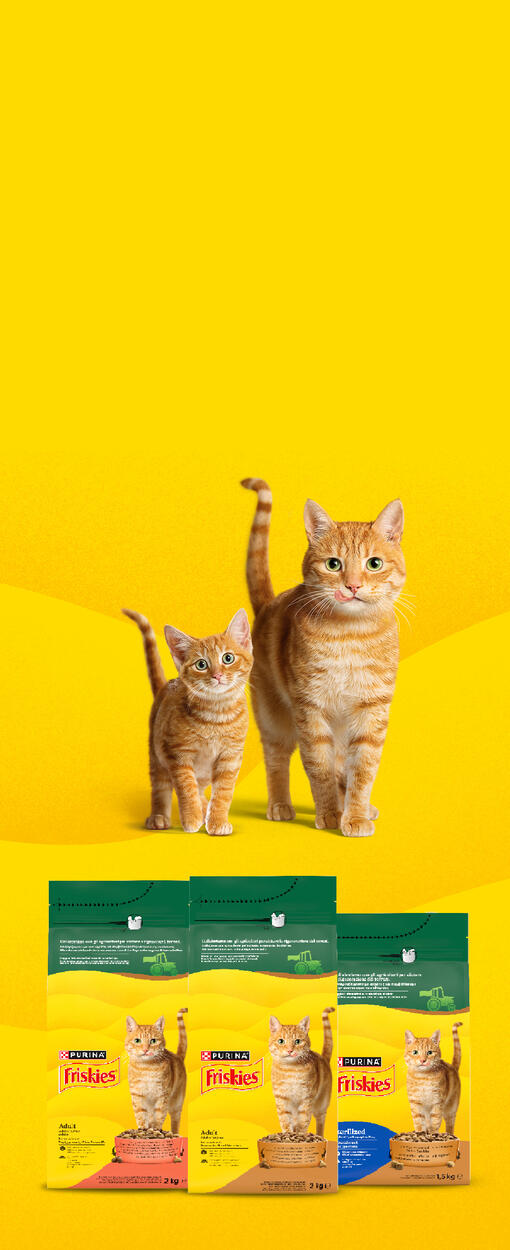 Friskies