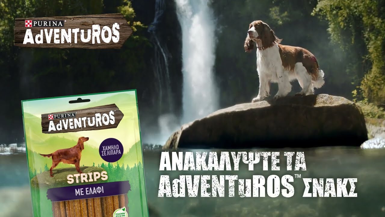 New Purina Adventuros Treats