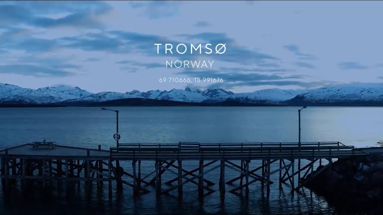 YouTube | Blue Horizons & Purina | The disappearing Kelp forests