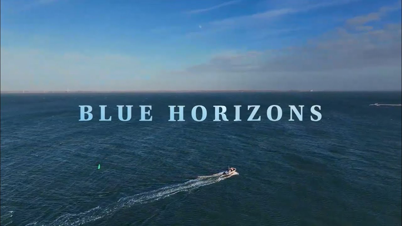 Blue Horizons & Purina